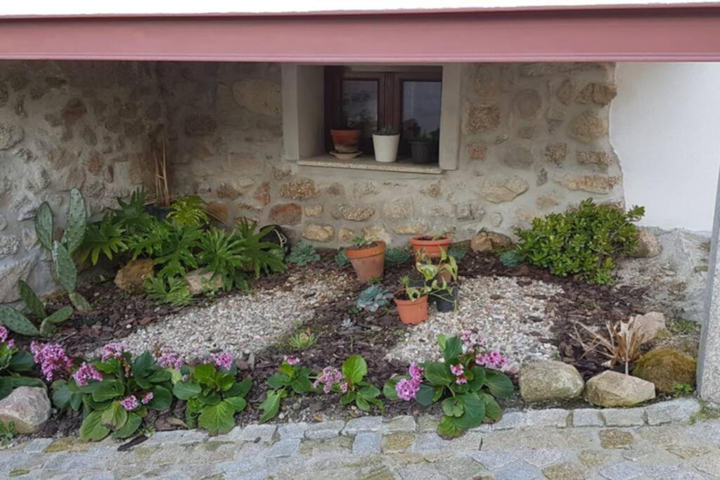 Moimenta da Serra Casa Bento Moura Portugal 빌라 외부 사진