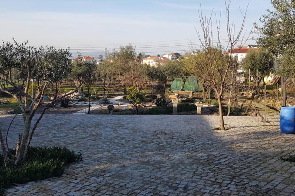 Moimenta da Serra Casa Bento Moura Portugal 빌라 외부 사진